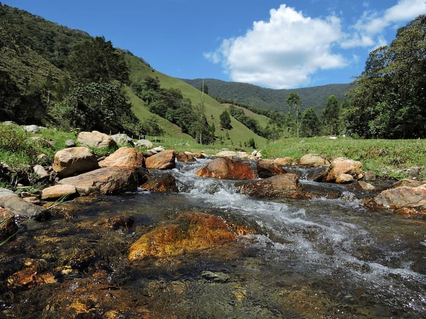 Medellín abrió convocatoria para proteger ecosistemas estratégicos y fuentes de agua