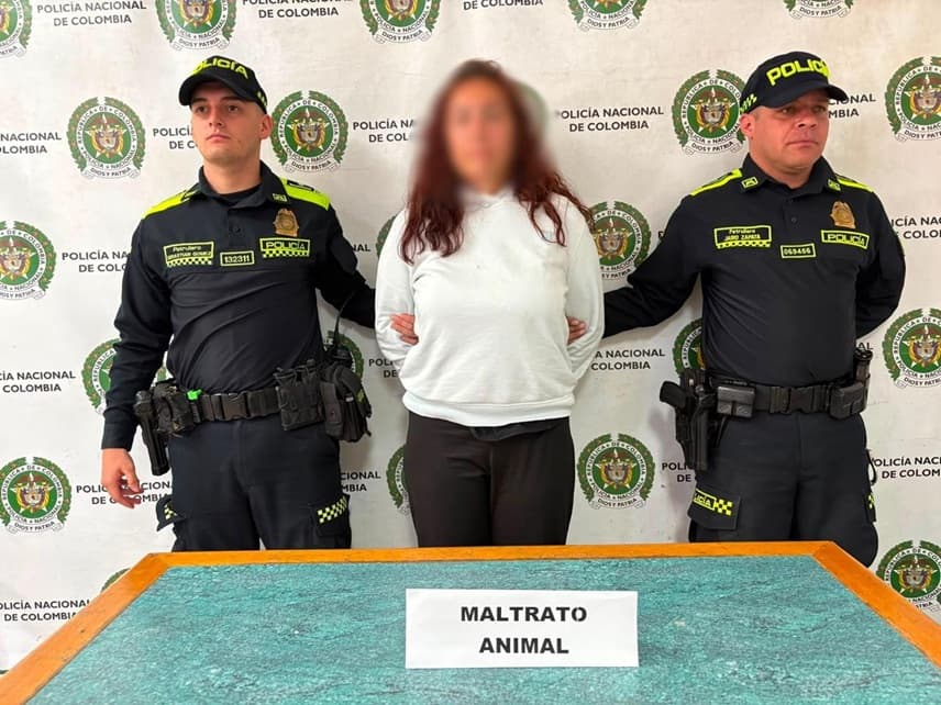 Maltrato animal en San Antonio de Prado