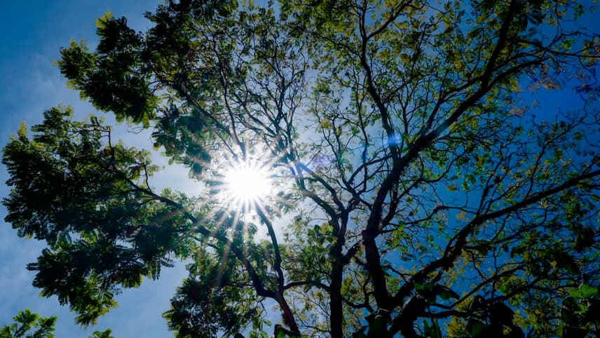 Medellín registra temperaturas históricas: julio comenzó con hasta 3 °C por encima del promedio