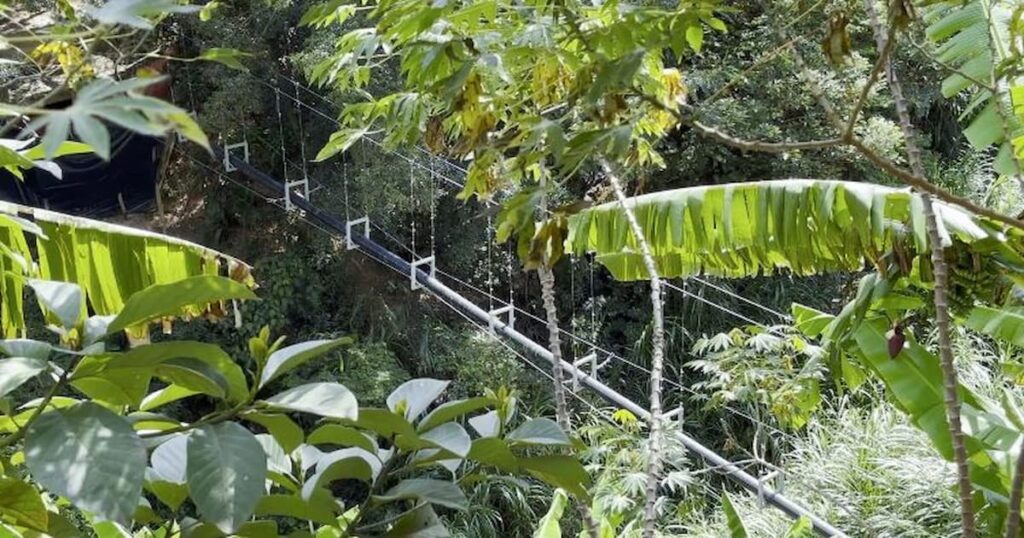 Obras del nuevo acueducto aéreo que beneficiará a más de 3.000 habitantes de la comuna 1 de Medellín.