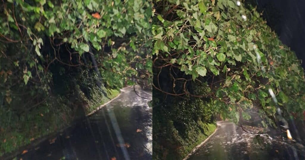 Lluvias en San Antonio de Prado durante la temporada invernal de marzo de 2026.