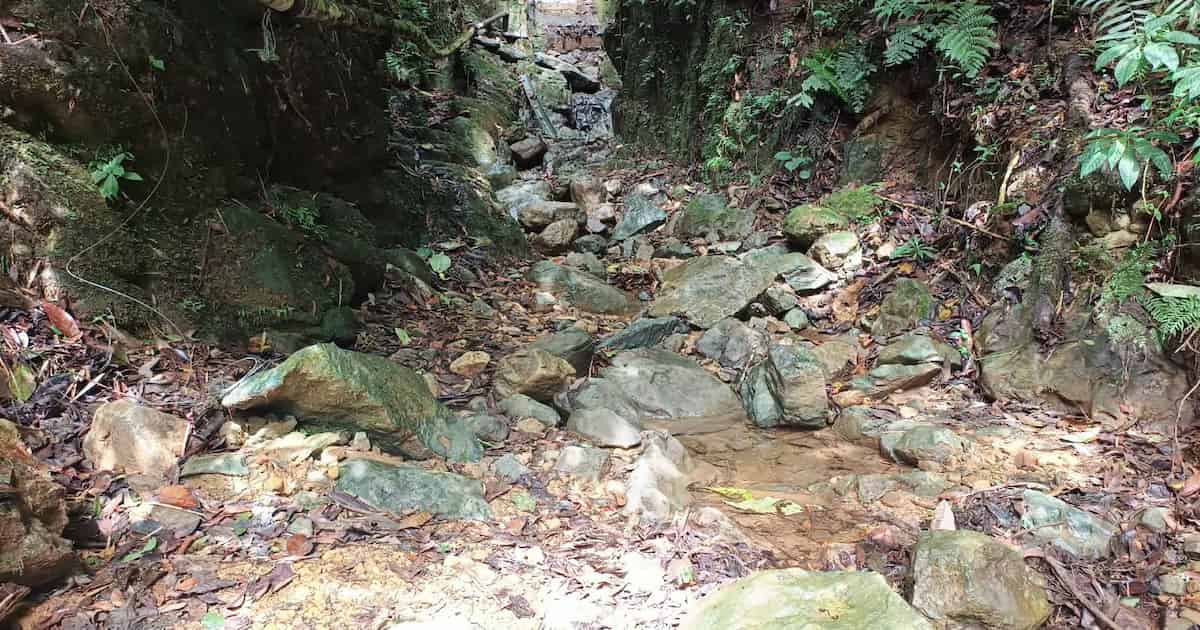 Disminución del caudal de la quebrada La Manguala preocupa al Acueducto Veredal La Florida en San Antonio de Prado.