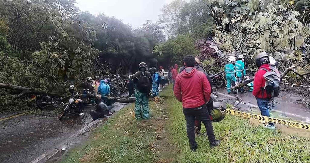 Árbol caído genera congestión en la avenida Regional de Medellín